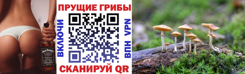Псилоцибиновые грибы MAGIC MUSHROOMS купить наркоту Старый Оскол